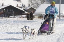 Lenk 2012 SM